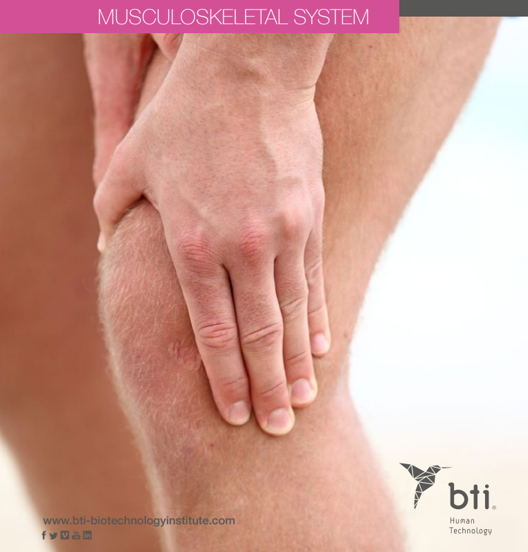 ENDORET MSK Brochure cover